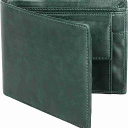 Men Formal Green Artificial Leather Wallet-image-66