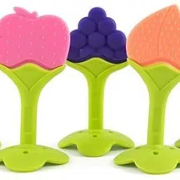 5pc Teether Fruit Shape Silicone Teether Teether-image-5