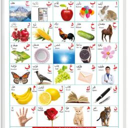 Arabic Alphabet?(Arabic) Educational chart with Dust resistant Lamination-18