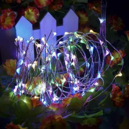 raagmansaa 20 LEDs 2.01 m Multicolor Steady String Rice Lights image 2