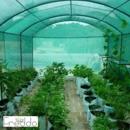 Green Shade Net 3 x 5 mtr -50% for Greenhouse Garden Nursery Shading Cloth - Blocks Sun Light Dust, Protect Flowers and Plants Portable Green House-19