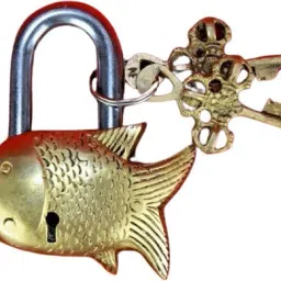 Brass Fish Padlock With 2 Keys Fish Shape Lock Padlock-20