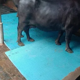 Natural Rubber Cow Mat, Interlocking Mats Cow, Dog, Guinea Pig, Hamster, Miniature Pig Pet Mat-image-53