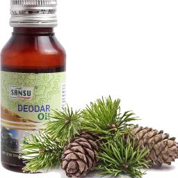 Cedar Oil | Deodar Oil | 50ml (Pack of 2)-image-7