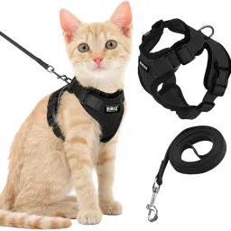 Cat Harness Wth Leash for Walking | Escape Proof | Air Mesh Fabric Cat Standard Harness-picture-21