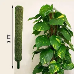 Green Grass Pole for Plants Support Moss Stick 2 Feet(Pack Of 1) Garden Mulch-0