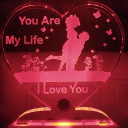 Picture Light Wall Lamp With Bulb-image-30