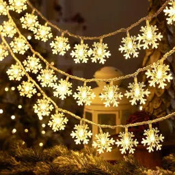 30 LEDs 6.2 m White Steady Snow Flake Rice Lights-12
