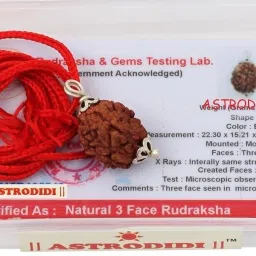 3 Mukhi Rudraksha 100% Original and Natural Three Face Rudraksha with Lab Report Silver Wood Pendant-3