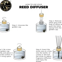 soul & scents Bottled Earth Diffuser Fragrance Lavender Cedarleaf Vanilla & Get 5 Rattan Stick Diffuser Set image 3