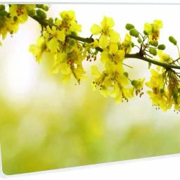 Galaxsia Floral D101 Vinyl Laptop Skin/Sticker/Cover/Decal Compatible vinyl Laptop Skin Compatible for 13.3 inch-image-44