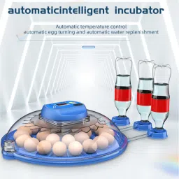tm&w 8 eggs small size automatic mini incubator for hatching chicken eggs. Egg Incubator image 2
