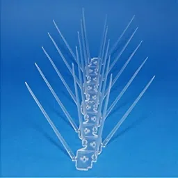Bird Spike-picture-15