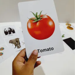 sandrone Flash Cards Combo Pack (Set of 3 boxes - 72 Flash cards) image 3
