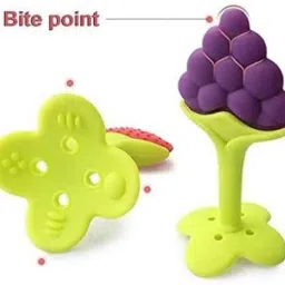 raosons Rattle Nibbler & Grape Teether Combo | BPA Free | for 3+ Months Baby (2 Pcs) Teether and Feeder image 4