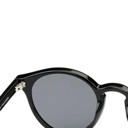 Vincent Chase by Lenskart Brown Polarised & UV Protected Round Sunglasses image 2