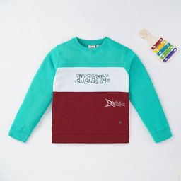 Ed-a-Mamma Boys Printed Sweatshirt-image-75