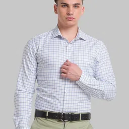 Park Avenue Men Blue Slim Fit Checked Formal Shirt-image-48