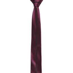 Alvaro Castagnino Men Purple Striped Skinny Tie-image-47