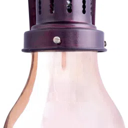 whiteray Wallchiere Wall Lamp Without Bulb image 4