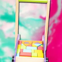 2-in-1 Walker-image-1
