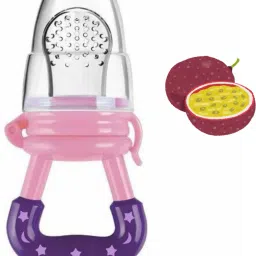 SST Sales Baby Food And Fruit Nibbler & Pacifier Teether BPA Free Nibbler NH410 Feeder-picture-4