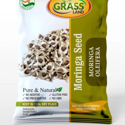 Moringa PKM1 Hybrid (Drumstick Seed) Seed-image-66