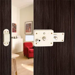 Steel Glossy Deadbolts-picture-19