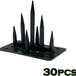 Bird Spike-9