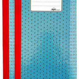 lrs Day Book For Financial Record (110 pages, Single page count) (14X6- Inch) 1-Part Day Book image 2