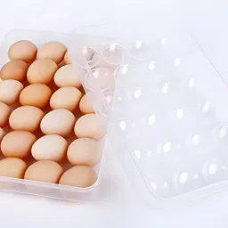 Egg container Egg Holder-14