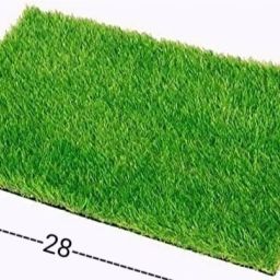 Green Polypropylene Area Rug-image-16