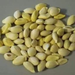 Lemon, Nimbu Seed-image-39