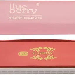 H-2402 24 Holes Key C Mouth Organ | 48 Tone | With Case For Professional, Beginners, Student Harmonica-17