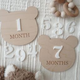 Haoser Wooden Monthly Milestone Set, Baby Photo Prop Wooden Cut-outs-image-33