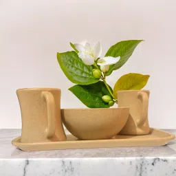 pacing grass Bamboo Biocomposite | Guest serving tray| Serving Tray for Tea/Coffee/Snacks Tray Serving Set image 5