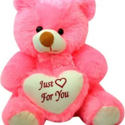 2 Feet Sitting Soft And Cute teddy Bear With Just For You Love Shape heart - Pink (60CM ) - 61.449999999999996 cm-picture-14