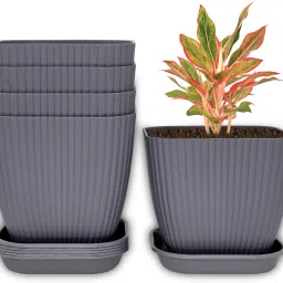 Square Pots with tray for Home & Balcony Decoration Planters,Terrace,Garden Etc Plant Container Set-image-24
