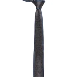 Alvaro Castagnino Men Blue & Brown Woven Design Skinny Tie-image-73
