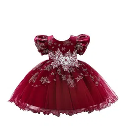 StyleCast Maroon & claret Embellished Embroidered Puff Sleeve Applique Fit & Flare Dress-picture-48