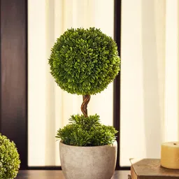 Pure Home and Living Green & White Potted Green Plant-image-56