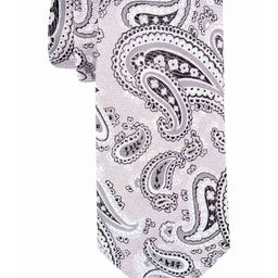 The Tie Hub Men White & Grey Paisley Printed Skinny Tie-image-114