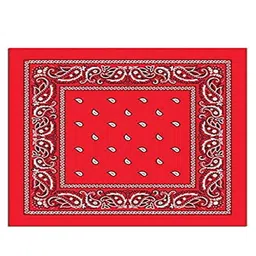 Aadikart Pack of 2 Red & Grey Printed Pure Cotton Bandana-image-102