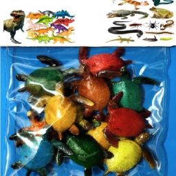 Realistic and Detailed 5 cm Mini Turtle Set of 12-image-84