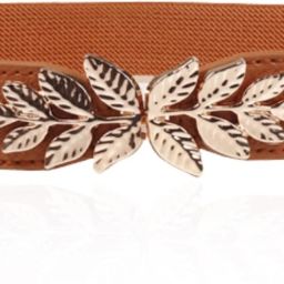 Women Formal, Casual, Evening, Party Tan Fabric Belt-image-57