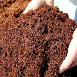 Cocopeat powder Potting Mixture-image-96