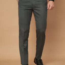 Men Slim Fit Light Green Viscose Rayon Trousers-image-81
