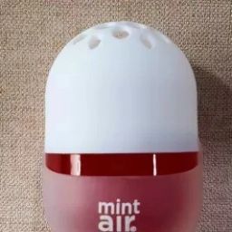 MINT Diffuser-image-4