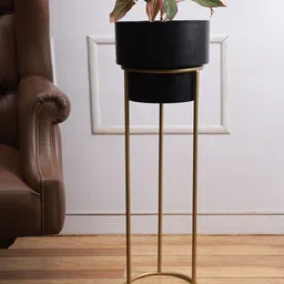 Aapno Rajasthan Black Solid Metal Planter With Stand-33