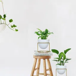 ecofynd White 2 Pieces Metal Planters With Stand-24